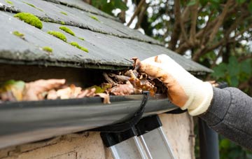 gutter cleaning Lower Arboll, Highland