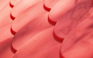 Lower Arboll plastic roof costs