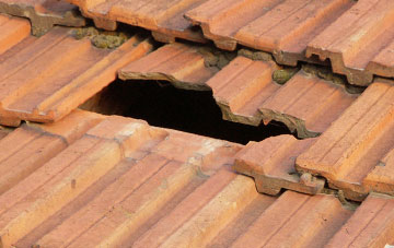 roof repair Lower Arboll, Highland