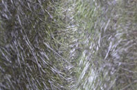 Lower Arboll fibreglass roof work